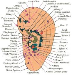 Depression-Anxiey-Stress-Insomnia Palm Harbor