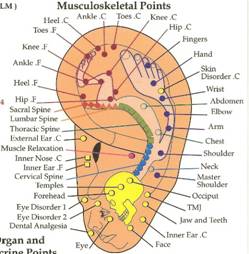 Palm Harbor Acupuncture Clinic / Addictions, Anxiety, Depression, Stress, Insomnia, Weight Loss, Anorexia,